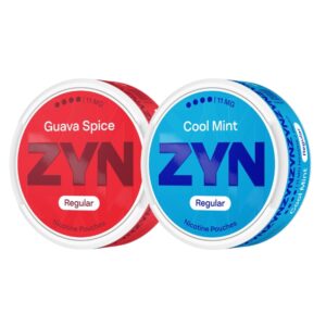 ZYN Nicotine Pouches REGULAR 11mg Cool Mint UK Vape Kings